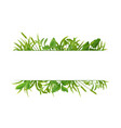 grass leaves realistic border vector image vector image