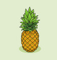 pineapple vector image