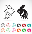 goldfish vector image