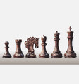 triangulation set chess pieces vector image