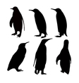 penguien silhouette set vector image