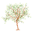 tree vector image vector image