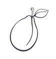 hand drawn doodle plum with stem and leaf vector image vector image