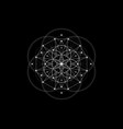 sacred geometry flower of life lotus logo vector image vector image
