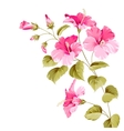 flower hibiscus vector image