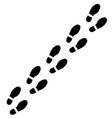 human footprints icon vector image vector image
