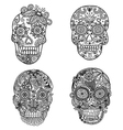 skulls coloring vector image vector image