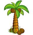 palm tree vector image