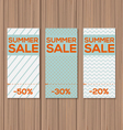 collect sale signs with tear-off coupon vector image