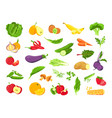 vegetable and fruit fresh vegetarian organic food vector image