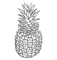 pineapple sketch nature fresh fruit line drawing vector image