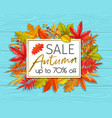 seasonal autumn banner vector image vector image