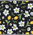 seamless pattern daffodils hand drawing vector image vector image