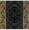 black background vector image