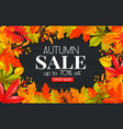 seasonal autumn banner vector image vector image