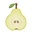 half of pear vector image