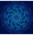 sacred geometry mandala vector image