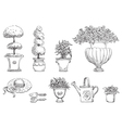 flowers in garden vector image vector image