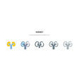 kidney icon in different style two colored vector image vector image