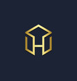 h initial line geometry gold logo vector image