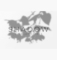 shadow overlay effect transparent soft light vector image vector image