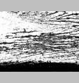 distressed grunge grainy overlay texture scratch vector image