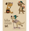 fashion dog vector image