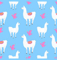 alpaca and pink cacti cactus funny llama cartoon vector image