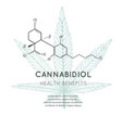 background banner poster with cbd formula vector image