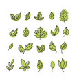set isolated green leaves icons on white vector image