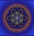 color mandala sacred geometry vector image