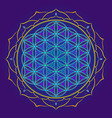 color mandala sacred geometry vector image