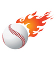 baseball vector image