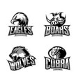 furious cobra wolf eagle and boar sport vector image
