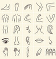human body icons vector image