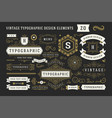 vintage typographic decorative ornament design vector image vector image