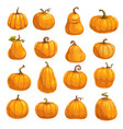 pumpkin vegetable icons autumn squash or gourd vector image