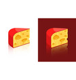 cheese icons isolated on white and dark background vector image vector image