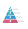 pyramid infographics vector image vector image