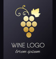 grapes logo design element vector image