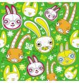 rabbit background vector image