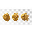 collection of golden paint strokes vector image