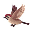 flying sparrow flat isolated vector image