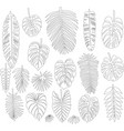 set of leaves in the contour style of tropical vector image
