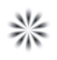 flower vector image vector image