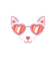 cat in sunglasses vector image