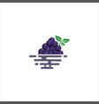 grapes fruit logo icon design stock template vector image