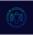 human genome or dna line icon vector image vector image