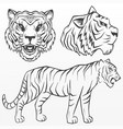 tiger silhouette isolated on white background vector image