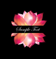 pink lotus on black background vector image